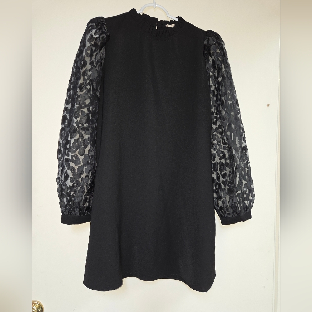 Elegant Black Dress with Sheer Sleeves